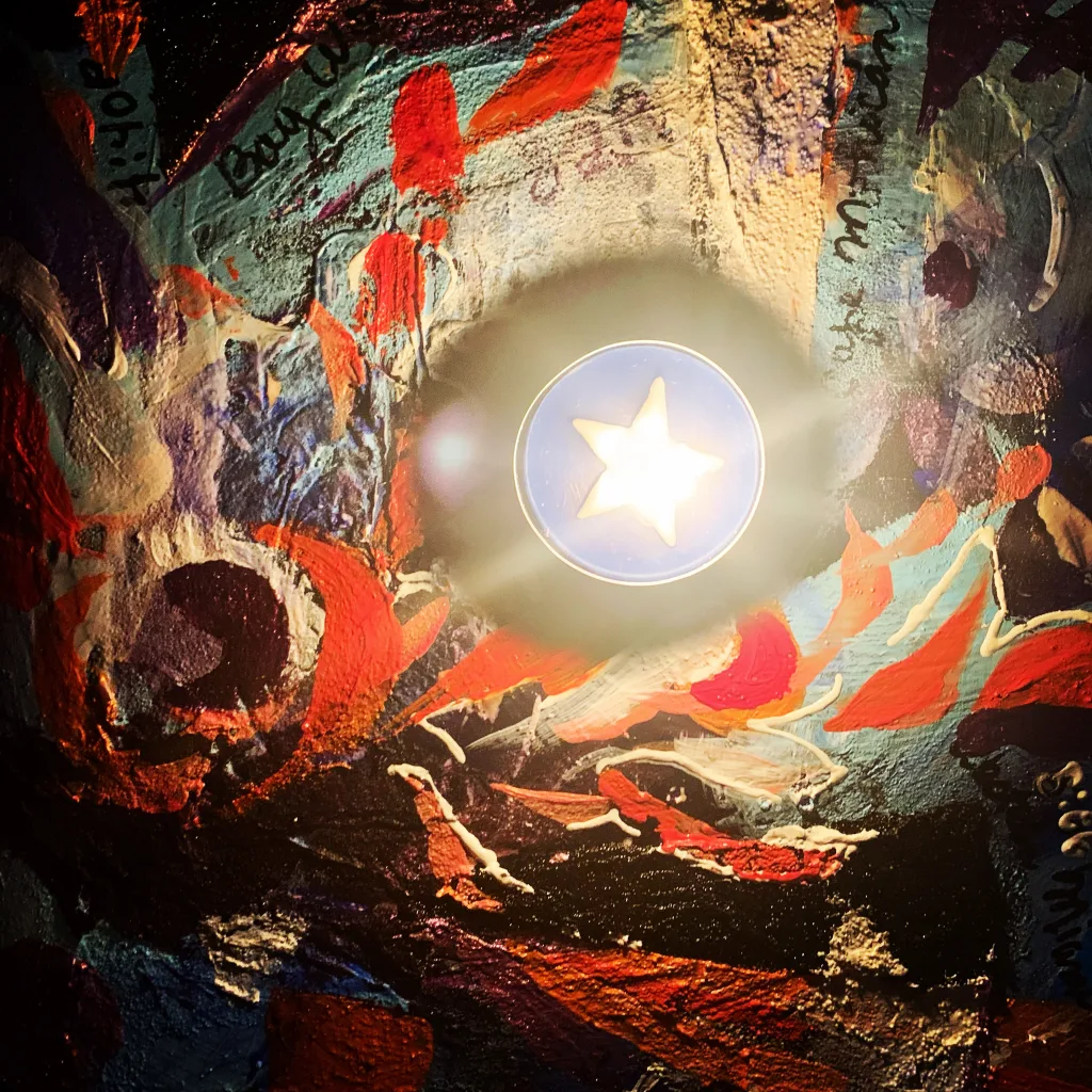 Star in Black Lotus Pond Star in Black Lotus Pond