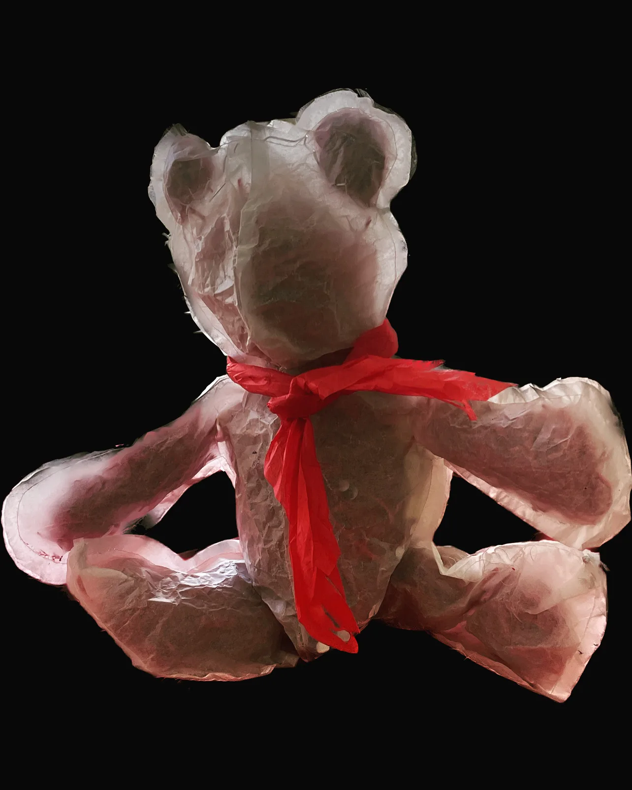 Fragile Lonely Bear